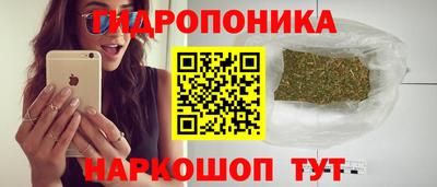 шишки Нальчик