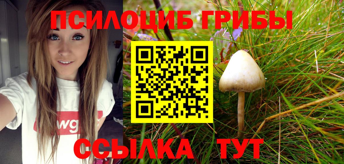 Галлюциногенные грибы MAGIC MUSHROOMS Соль-Илецк