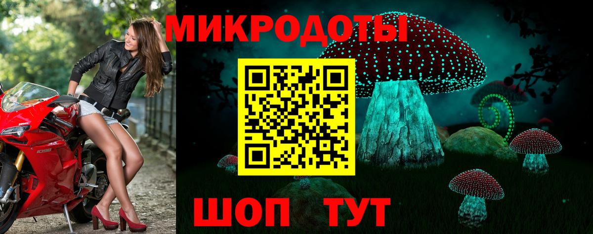 Соль-Илецк  Галлюциногенные грибы Psilocybine cubensis  Вход с VPN 
